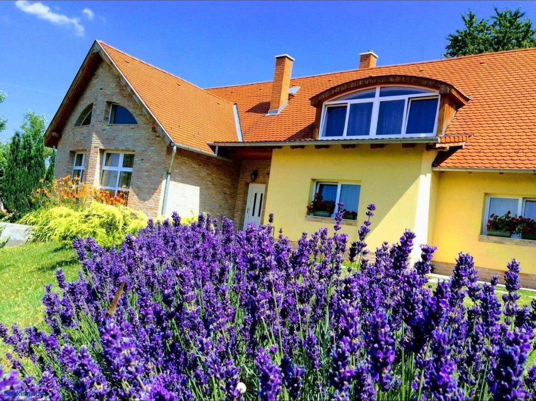 Apartments for Rent Near Budapest
