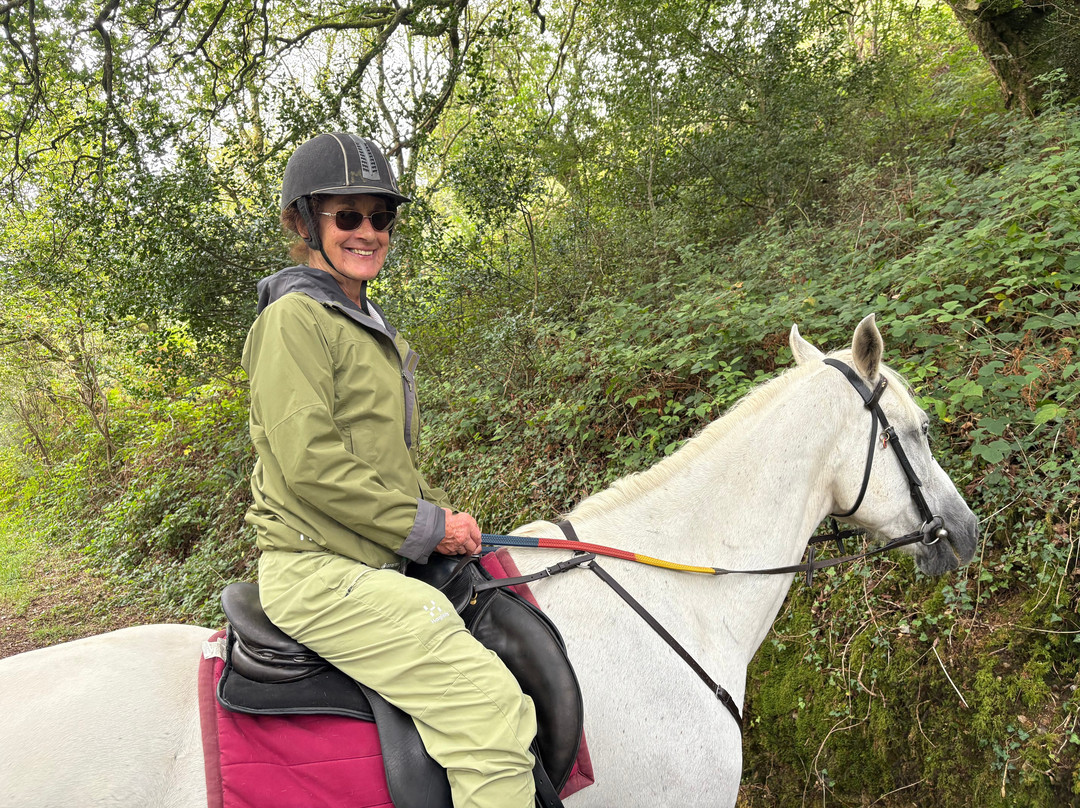 Polmartin Riding Equestrian Site-利斯卡德必去景点