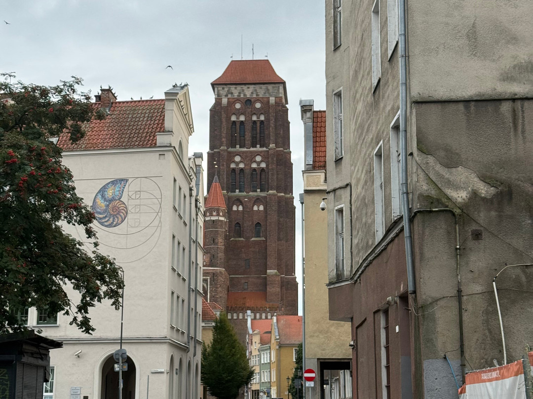 Museum of Amber - Museum of Gdansk-格但斯克必去景点