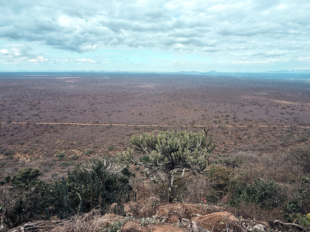 Ngulia Safari Lodge主图