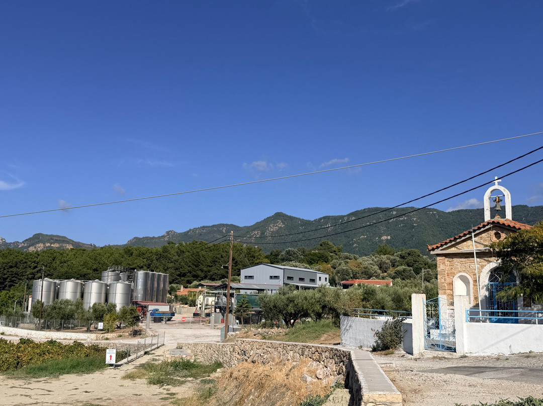 Vakakis Winery-Karlovasi必去景点