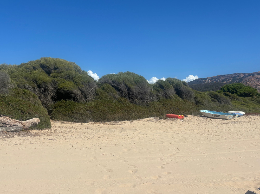 Plage d'Arone-Piana必去景点