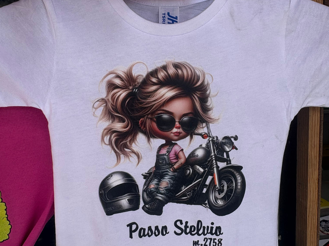 Passo dello Stelvio-博尔米奥必去景点