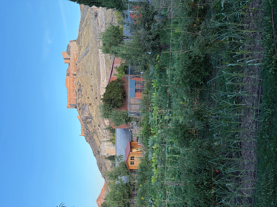 Huerta Quitapesares