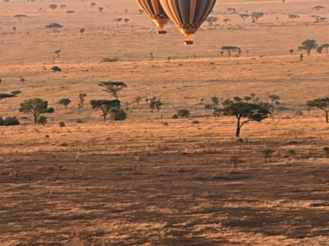 Nyssa Balloon Safaris-Seronera必去景点