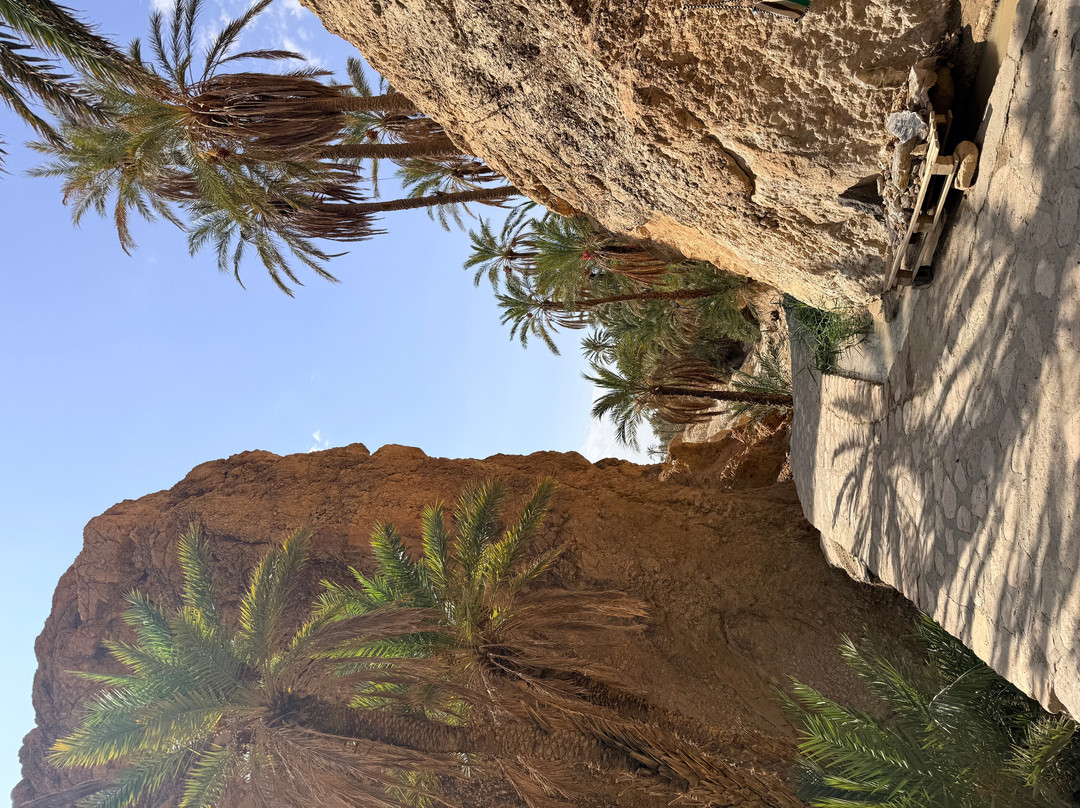 Autre Tunisie Day Tours-Houmt Souk必去景点