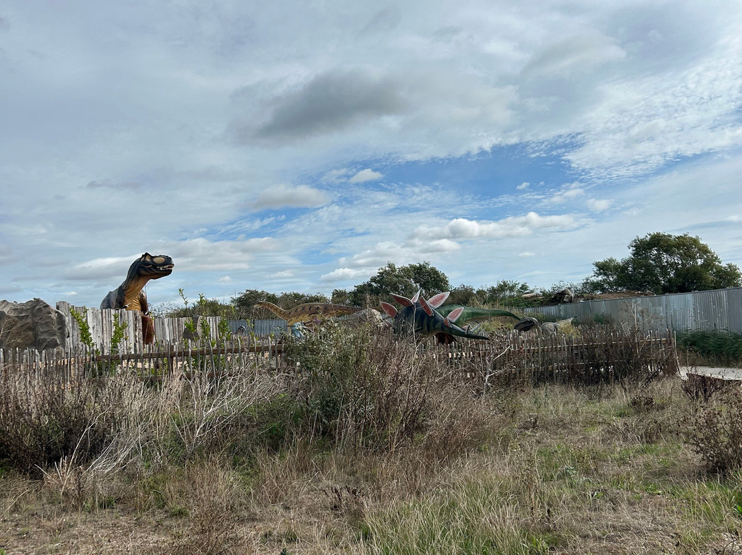Marsh Farm Animal Adventure Park-Woodham Ferrers必去景点