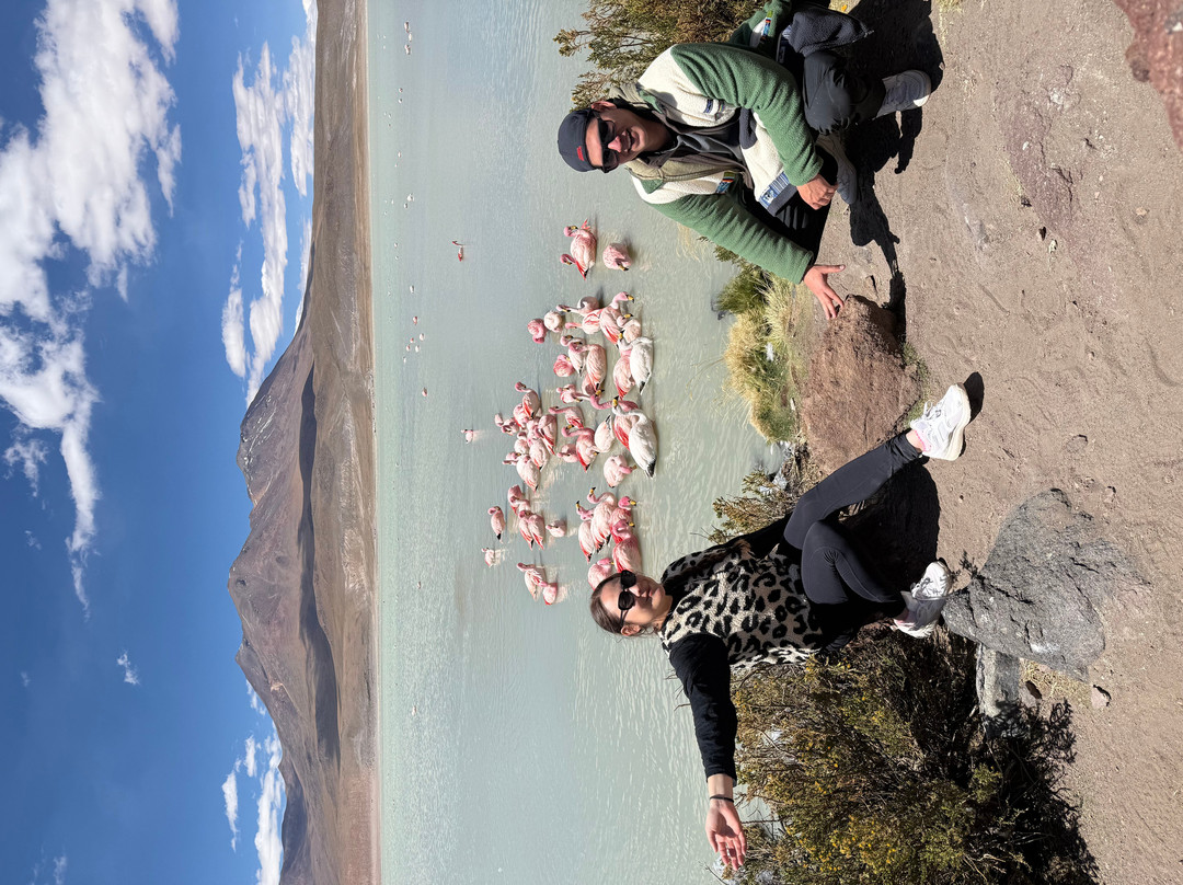 Flamingotravels-乌尤尼必去景点