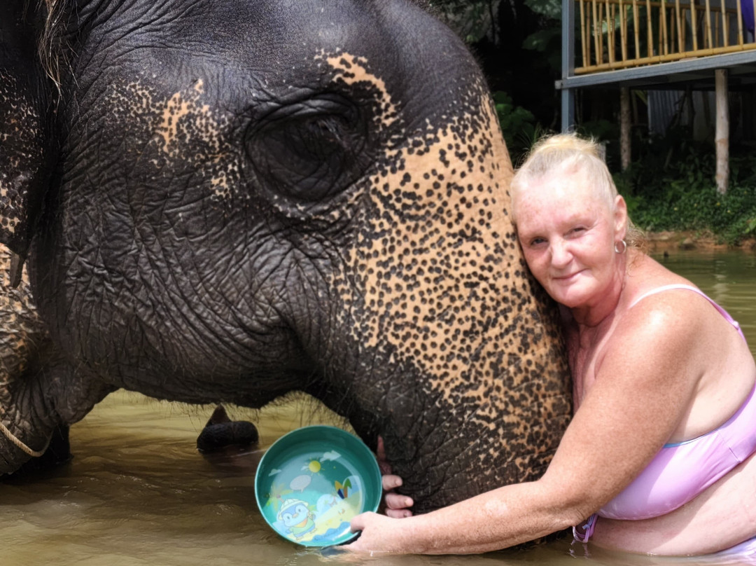The Lake Phuket Elephant Home-Thep Krasatti必去景点