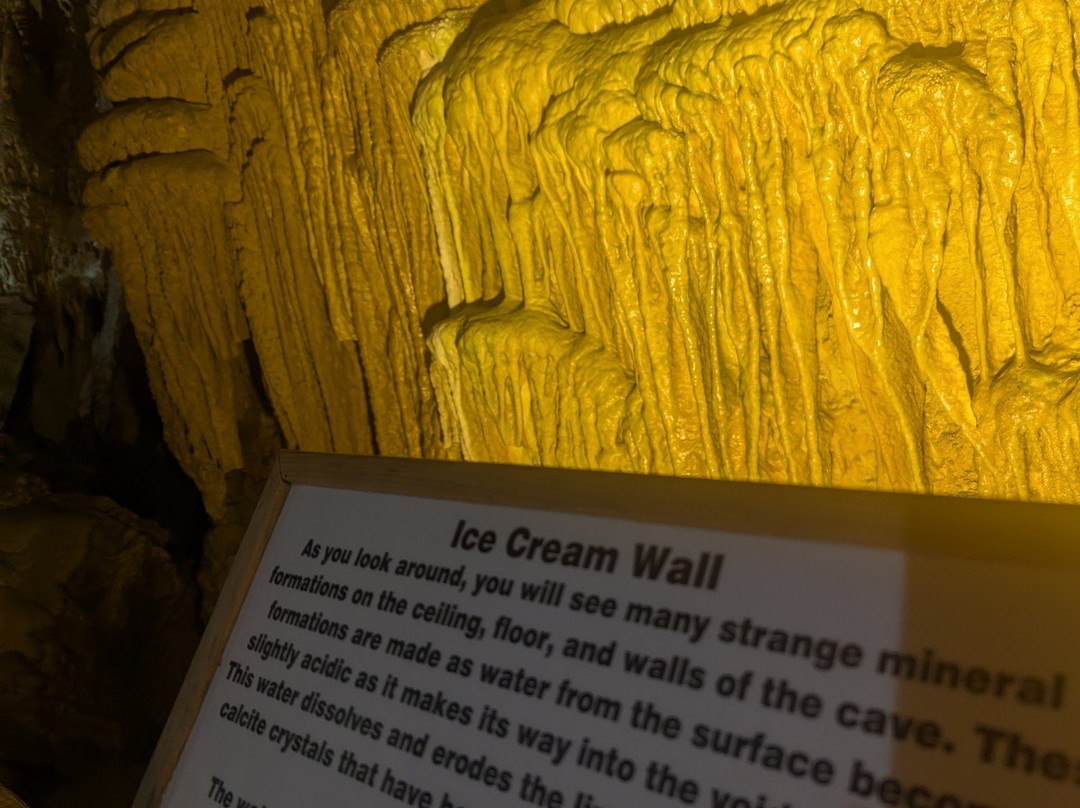 Lost World Caverns-Lewisburg必去景点