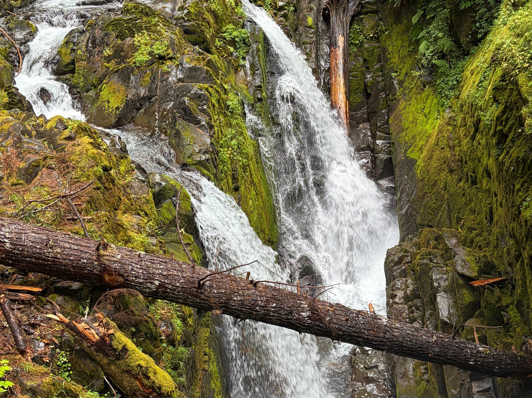 Sol Duc Falls-奥林匹克国家公园必去景点