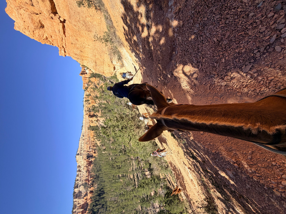 Canyon Trail Rides-特罗皮克必去景点