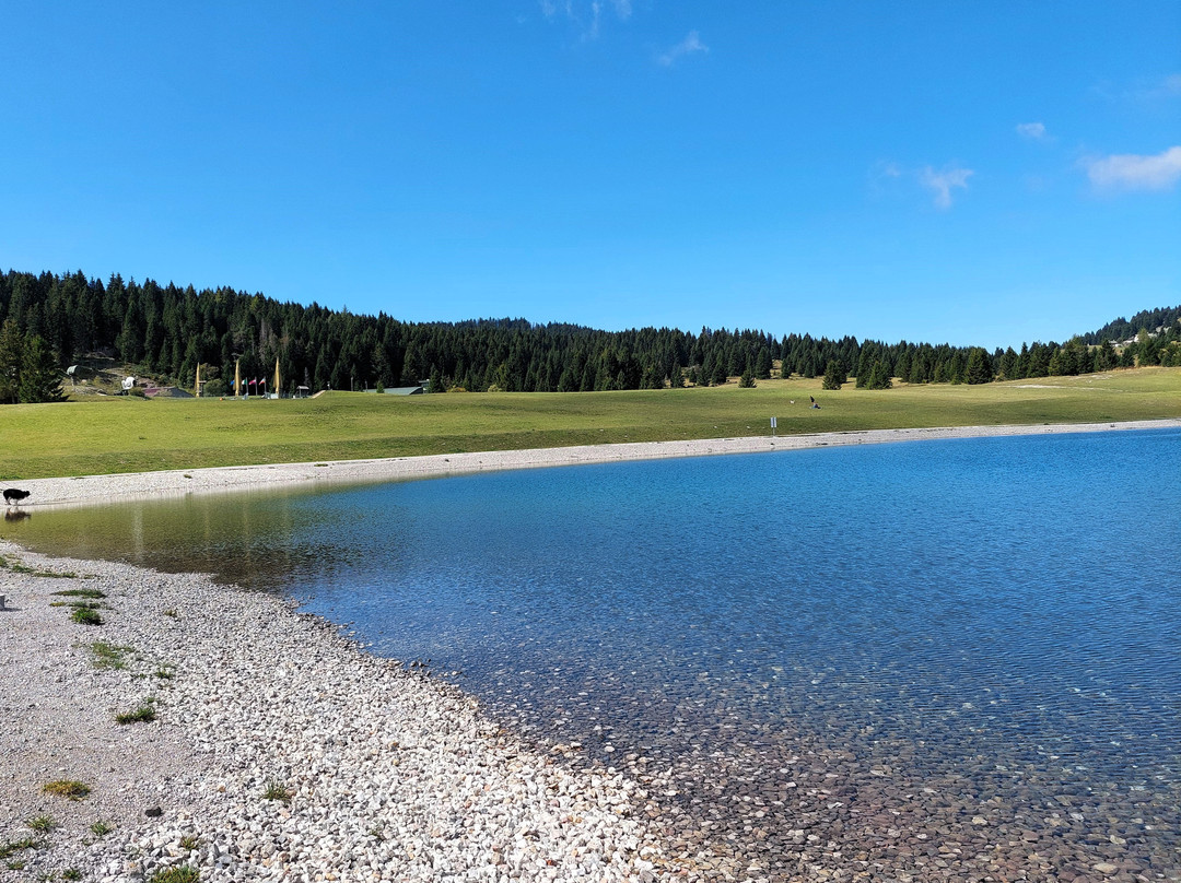Lago Coe-福尔加里亚必去景点
