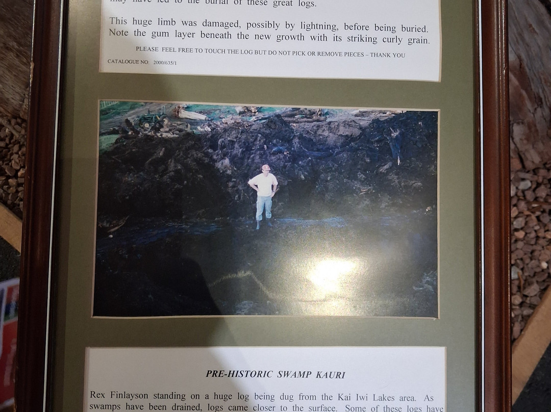 The Kauri Museum-Matakohe必去景点
