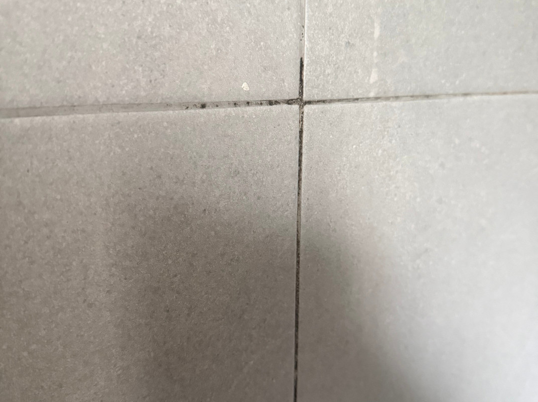 HG 梅诺卡花园公寓式酒店主图