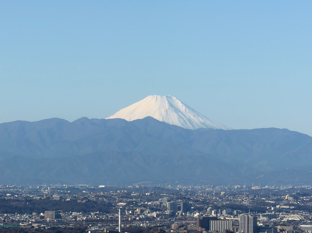 Shibuya Sky-涩谷区必去景点