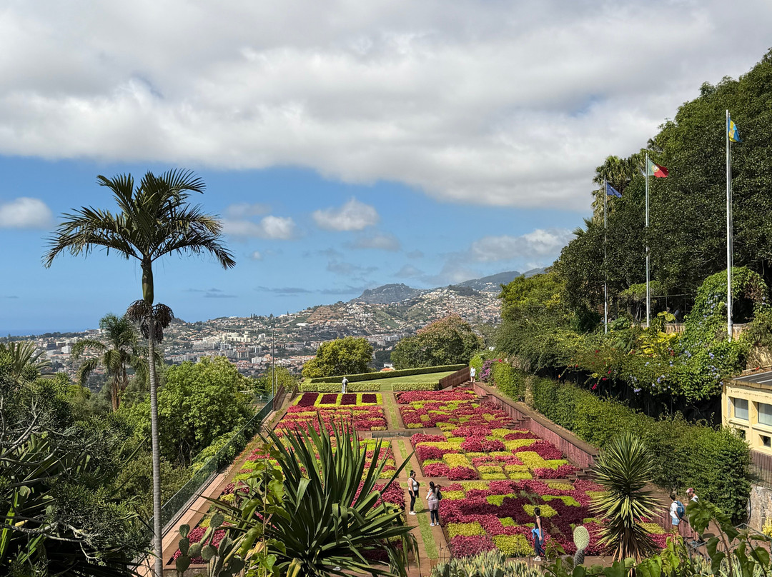 Madeira Botanical Garden-沙尔必去景点