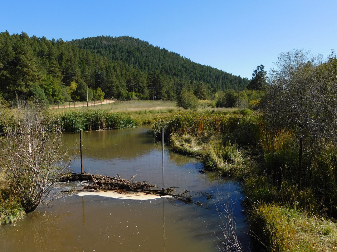 Sierra Bonita Cabins & RV Park