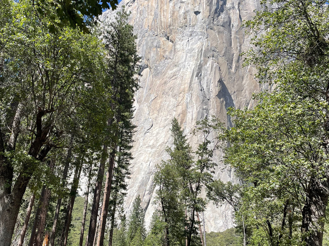 El Capitan-优胜美地国家公园必去景点