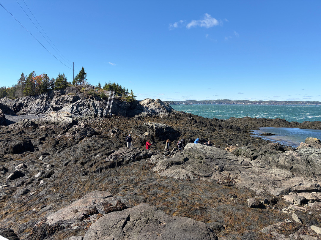 Head Harbour Lighthouse-Campobello Island必去景点