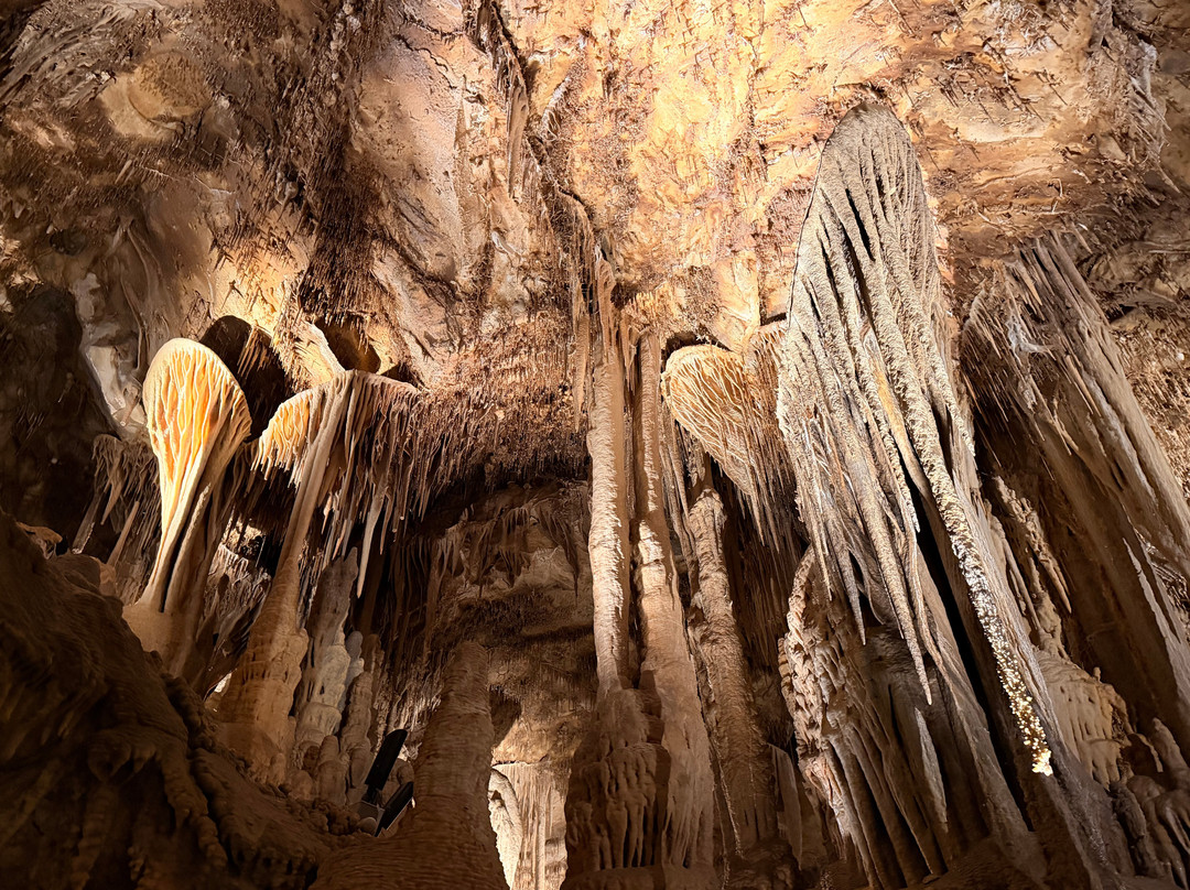 Lehman Caves-Great Basin National Park必去景点