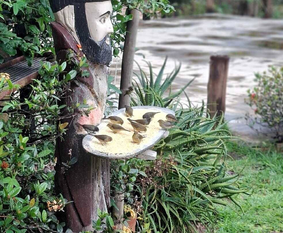 Chapadão Da Canastra Hospedagens主图
