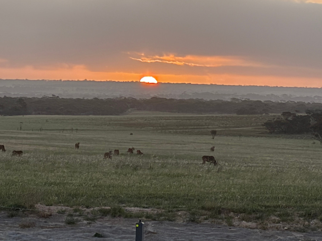Monarto Safari Park-Monarto必去景点