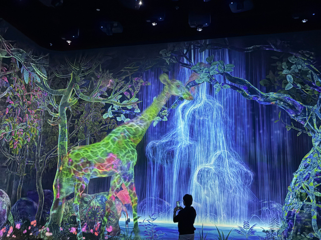 teamLab Planets TOKYO-Toyosu必去景点