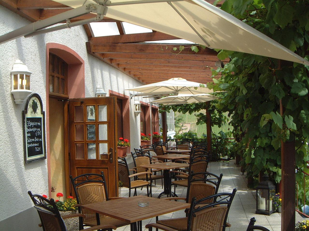 Reil酒店住宿-WeinBergHotel Nalbach Reil/Mosel