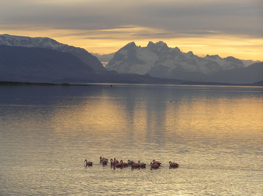 Hotel Cerro Castillo