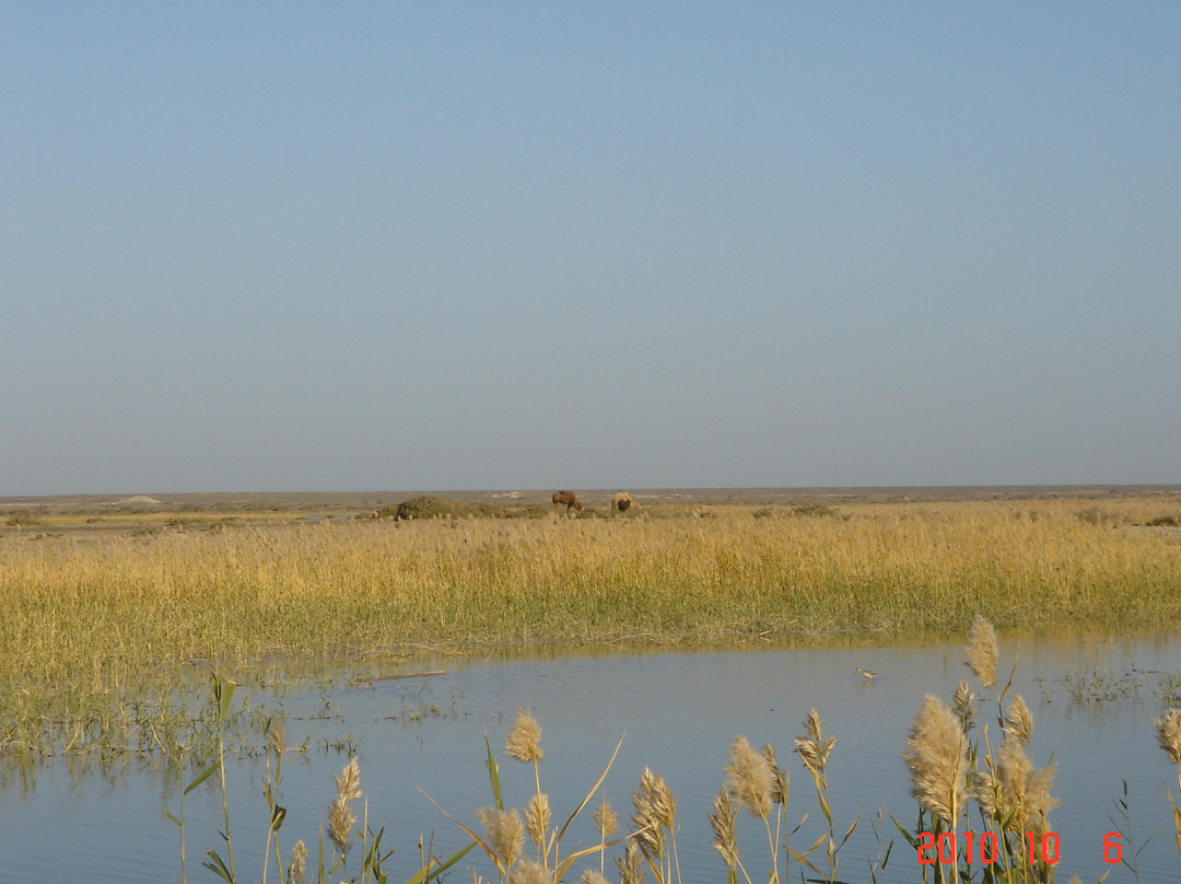 居延海-额济纳旗必去景点