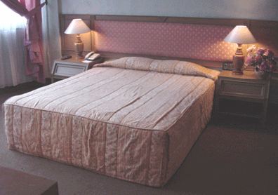 Hotel Medan Metro-官方