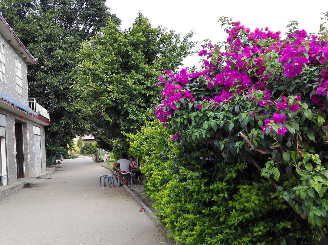 红格镇-盐边县必去景点