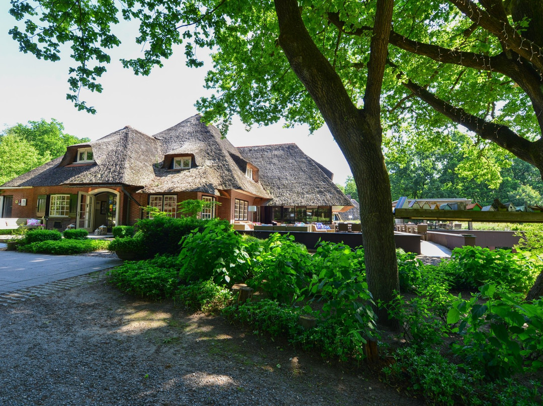 Holten酒店住宿-Hoog Holten Hotel & Restaurant