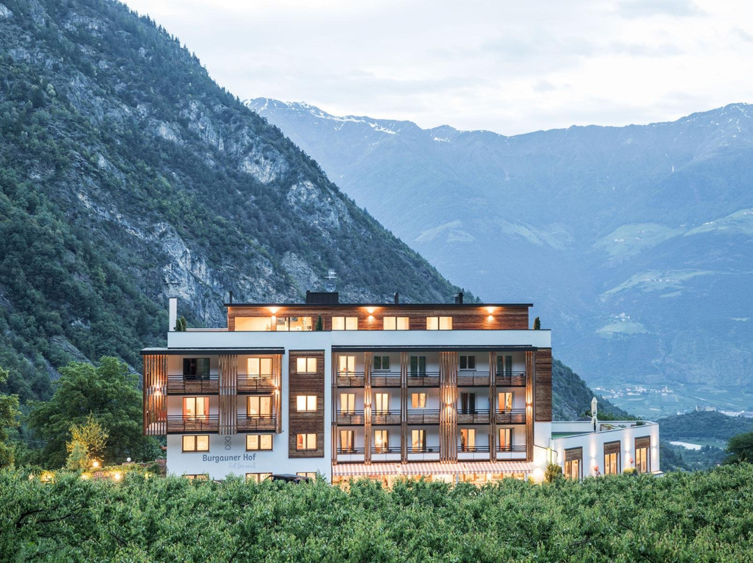 Martello酒店住宿-Hotel Burgaunerhof