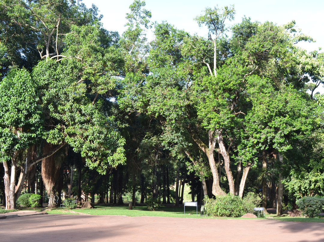 Lweza Training and Conference Centre