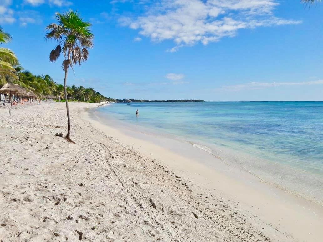 PavoReal Beach Resort Tulum-官方