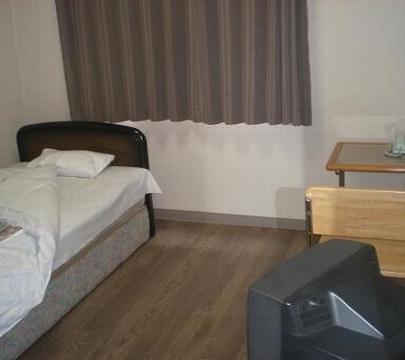 Business Hotel Hitotsubashi-官方