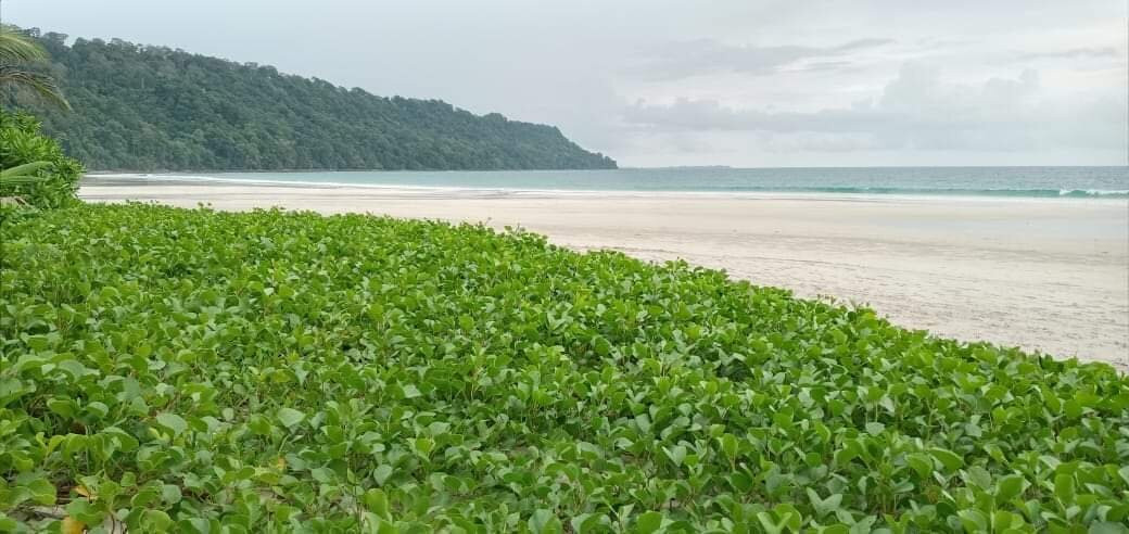 The Travel Buddy-布莱尔港必去景点