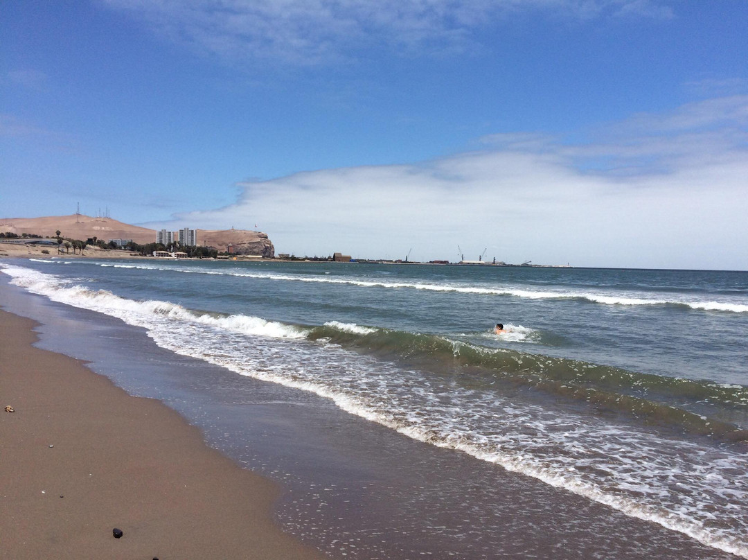 Playa Chinchorro景点图片