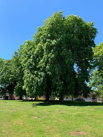 All Saints Parish Church Northallerton景点图片