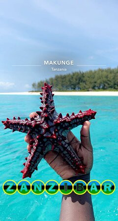 Coastal Safaris Tours-桑给巴尔岛必去景点