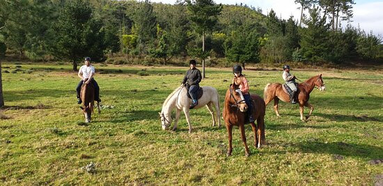 Kurland Park Horse Trails-普利登堡湾必去景点