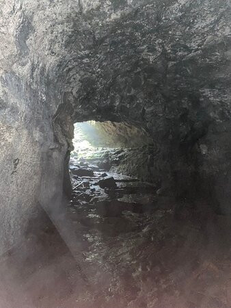 Ape Cave Lava Tubes景点图片