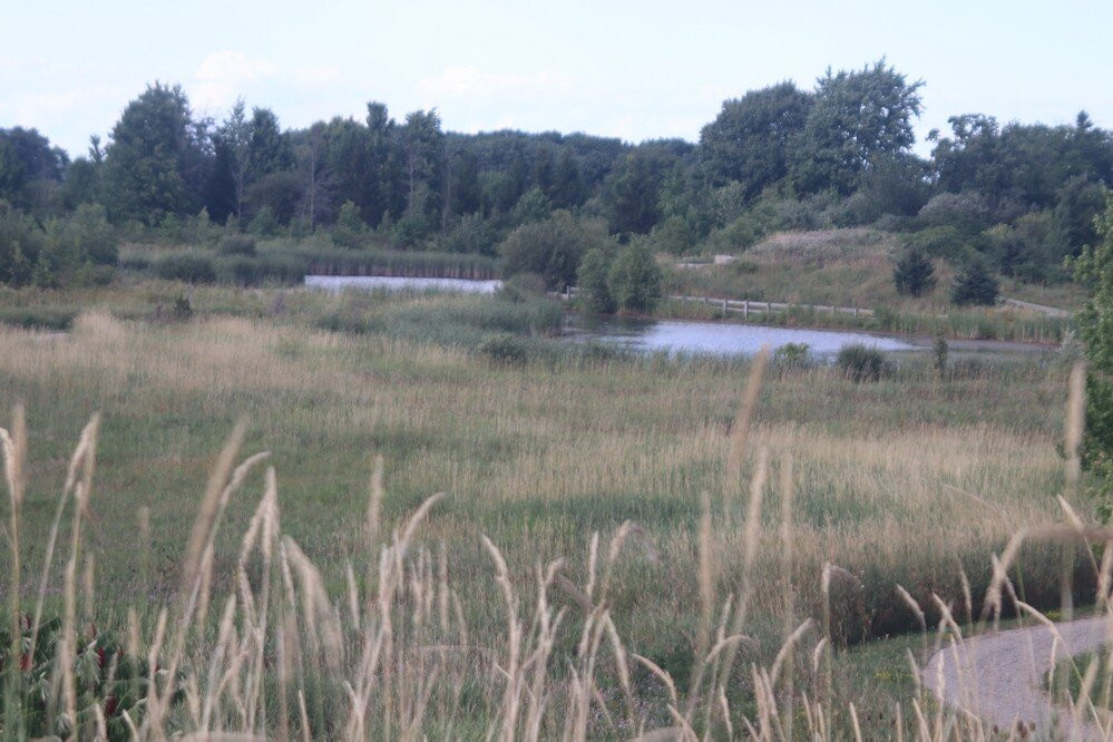 Station Road Naturalization Site, Wainfleet景点图片