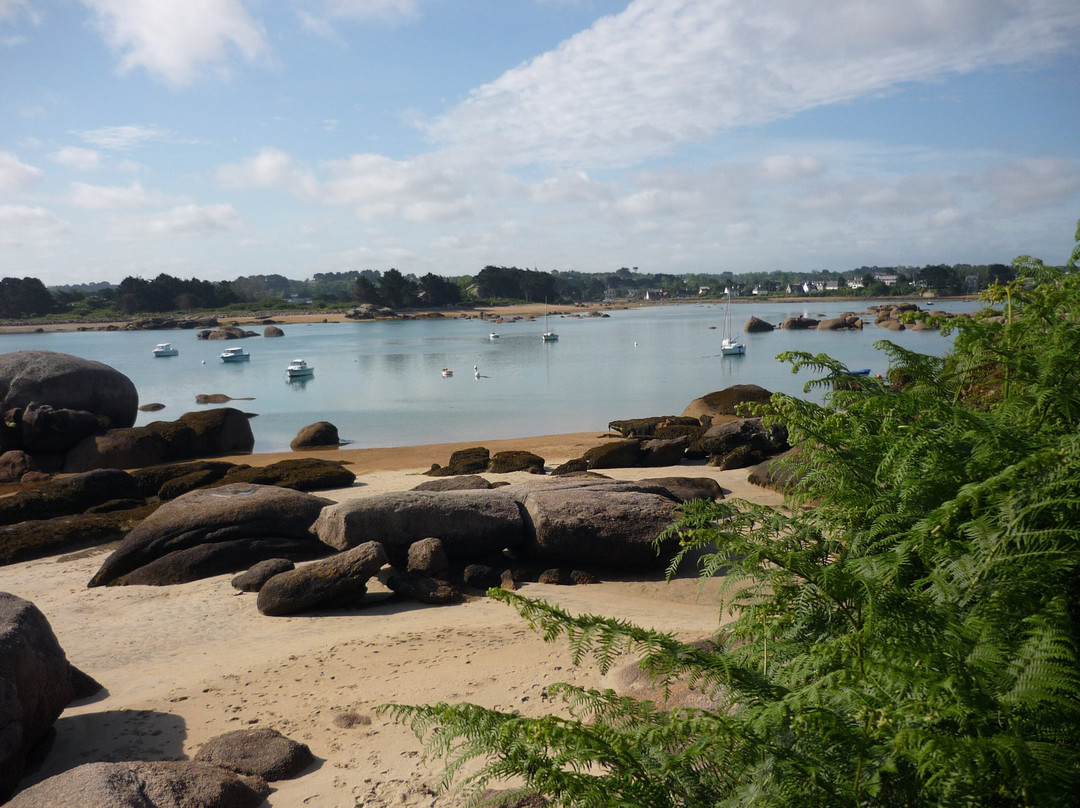 Plage Saint Anne景点图片