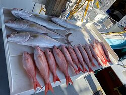 Chelsea Charters - Florida Keys Fishing-伊斯拉摩拉达必去景点