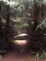 Harz National Park景点图片