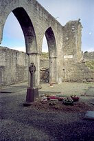 Askeaton Friary景点图片