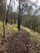 Mount Baldy- 阿瑟顿必去景点